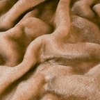 Beige - Dual Season Premium Double Bed Blanket