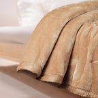 Beige Shade -  Premium Double Bed All Season Blanket