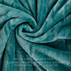 Clouded Blue - Super Soft All Season Premium AC Blanket